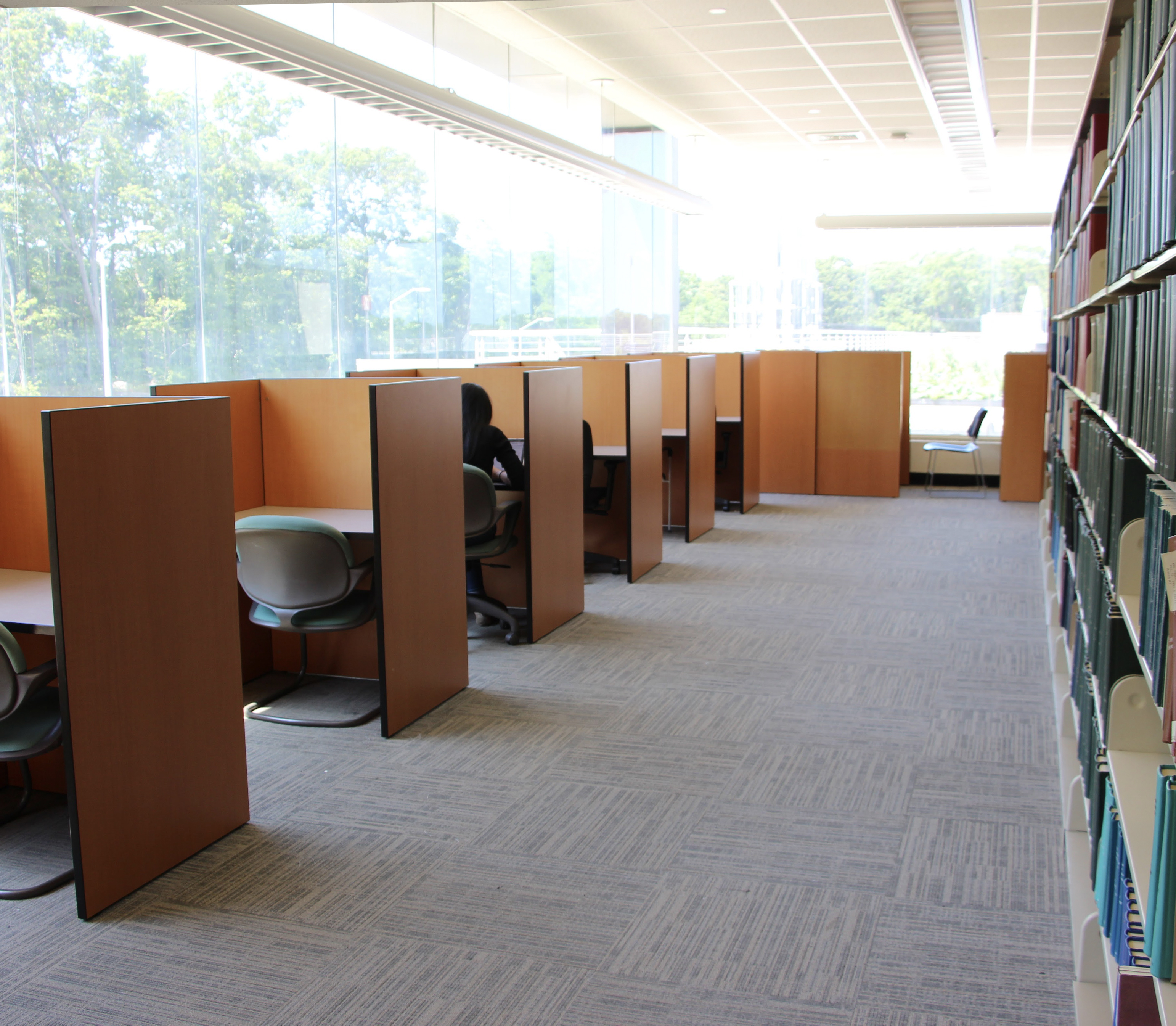 health sciences library