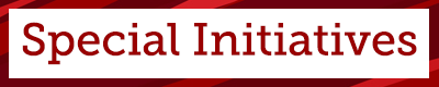 Special Library Initiatives
